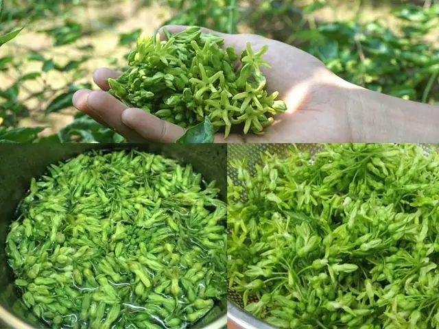 2.2. Sơ chế nguyên liệu 2.2. Sơ chế nguyên liệu