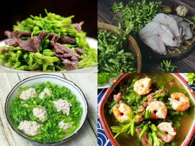 5. Gợi ý món ăn chế biến từ thiên lý 5. Gợi ý món ăn chế biến từ thiên lý