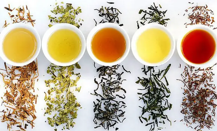 1. Hồng trà là gì?