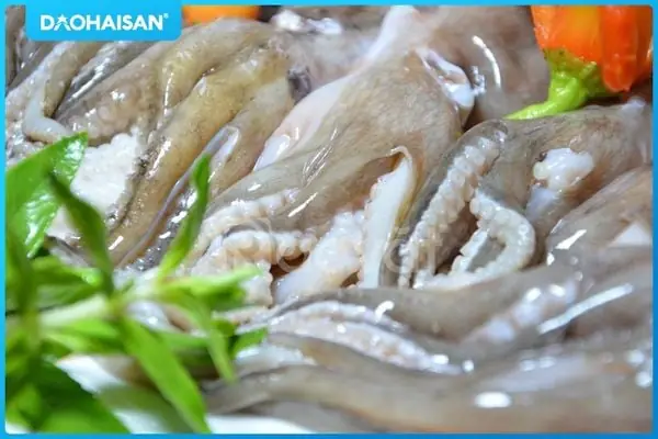 Sơ Chế Nguyên Liệu Sơ Chế Nguyên Liệu