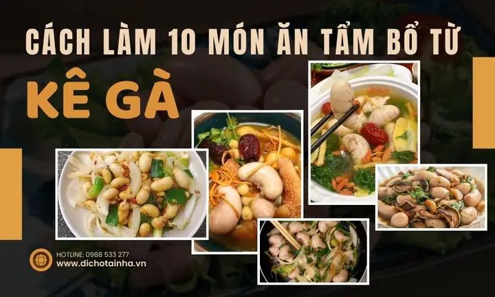 Ngọc Kê Gà Và 10 Cách Chế Biến Món Ăn Ngon Mà Bổ Dưỡng