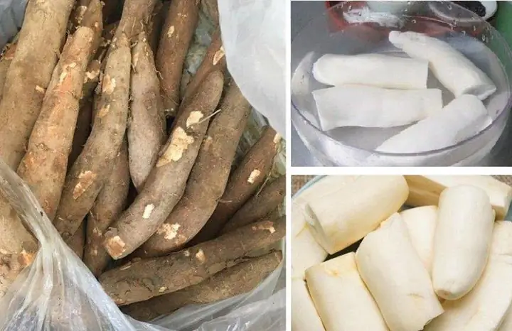 Lưu Ý Khi Chế Biến Khoai Mì An Toàn