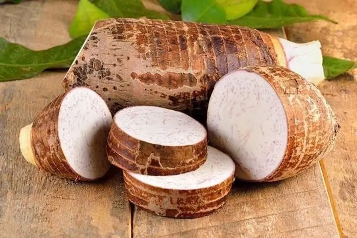 Thành Phần Dinh Dưỡng Của Khoai Sọ Thành Phần Dinh Dưỡng Của Khoai Sọ