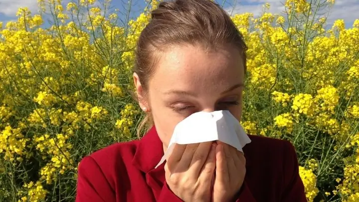 Lưu Ý Khi Sử Dụng Bồ Công Anh