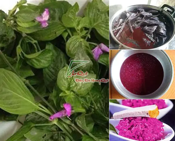 Cách lấy màu lá cẩm Cách lấy màu lá cẩm