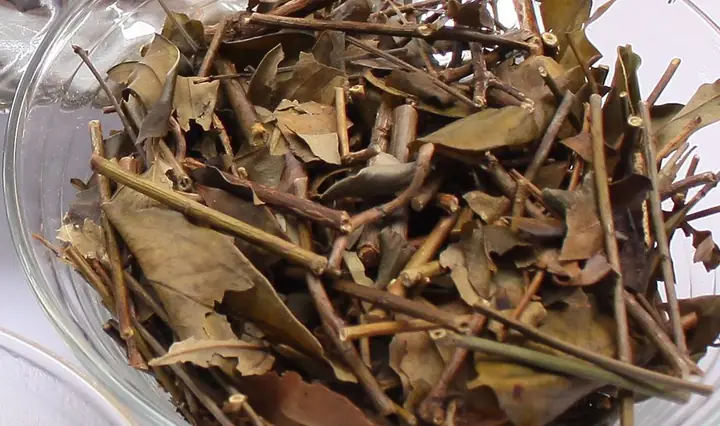 2.1 Chè vằng khô