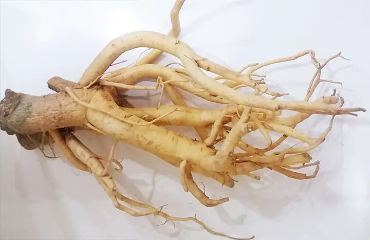 Bước 1: Chuẩn Bị Nguyên Liệu