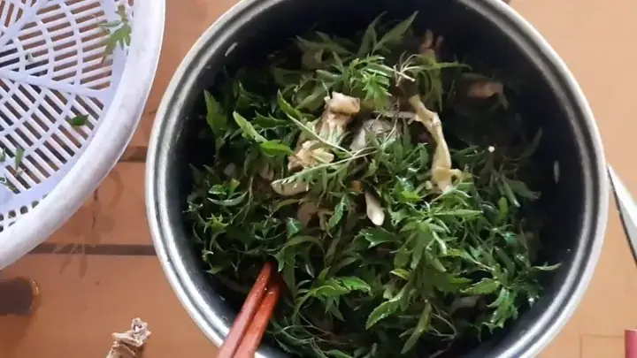 Bước 2: Cho Lá Đinh Lăng Vào Nấu