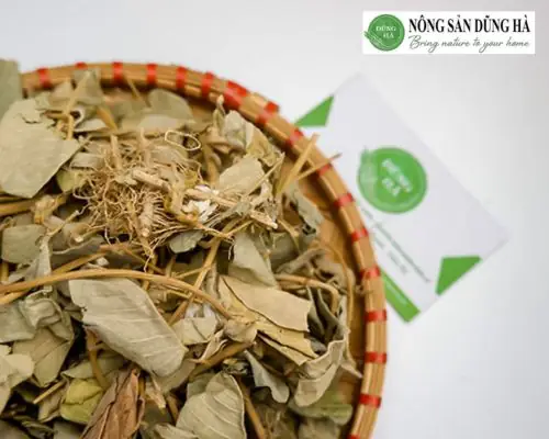 Cách dùng kim tiền thảo với một số bài t.h.u.ố.c chữa bệnh