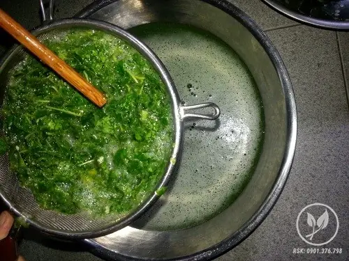 Cách làm thạch sương sâm lông