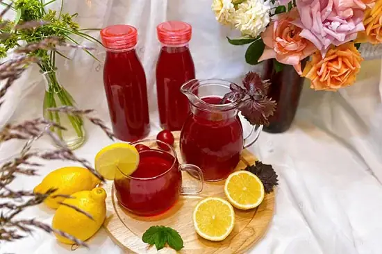 Cách Nấu Lá Tía Tô Uống Dễ Sinh Chuẩn Vị & Đúng Liều Lượng