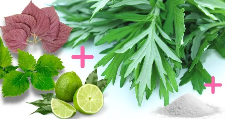 2.5 Xông Lá Tía Tô Cùng Rau Kinh Giới, Ngải Cứu