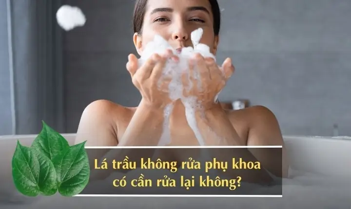 Rửa vùng kín bằng lá trầu không có cần rửa lại không? Rửa vùng kín bằng lá trầu không có cần rửa lại không?