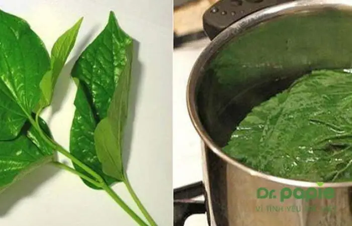 4. Lưu ý khi trị rôm sảy cho bé bằng lá trầu không