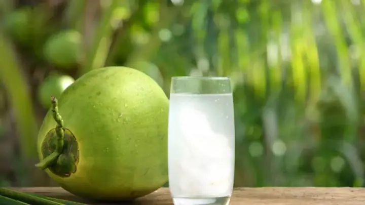 1.2. Bí quyết chọn dừa ngọt nước để nấu lagu chay đậm vị 1.2. Bí quyết chọn dừa ngọt nước để nấu lagu chay đậm vị