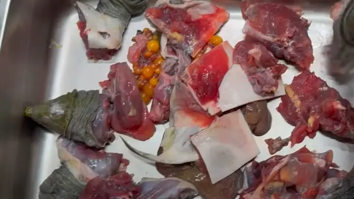 Cách Sơ Chế Và Làm Thịt Ba Ba