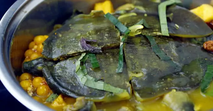 Đăng ký Mở nhà hàng online + Đăng bài trên PasGo