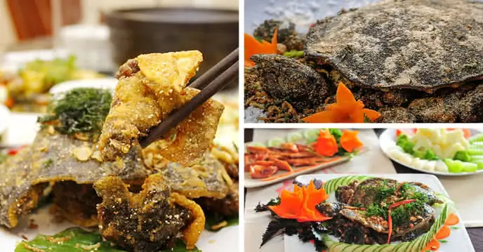 2, Mù tạt 2, Mù tạt