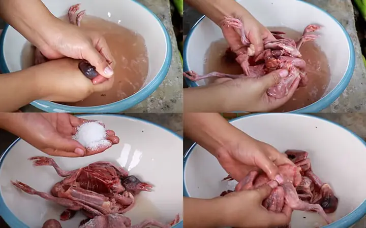 Bước 1:Sơ chế bồ câu