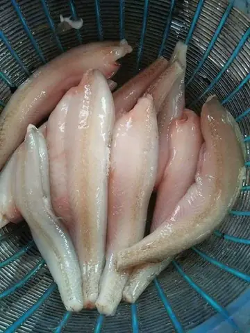 cách nấu lẩu cá cháo