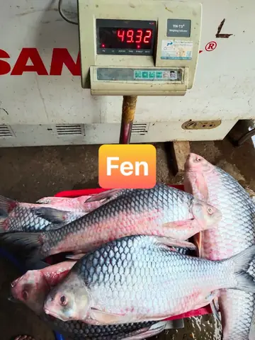 Cách Nấu Lẩu Cá Cóc