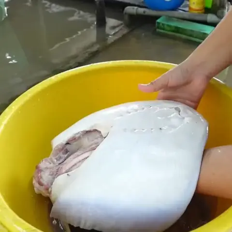 Sơ Chế Cá Đuối