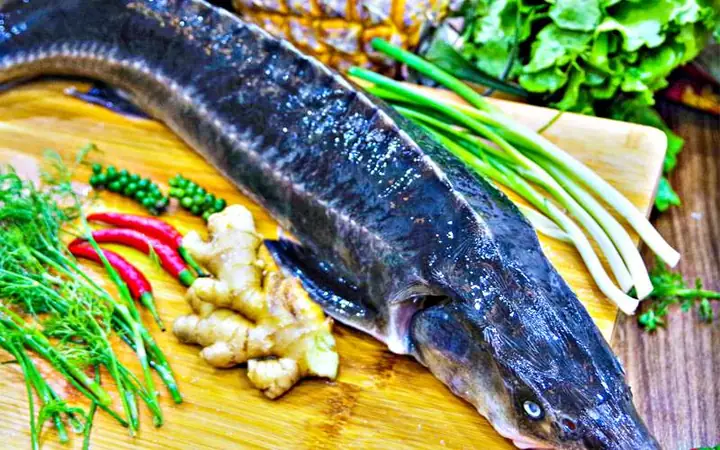 Chuẩn Bị Nguyên Liệu