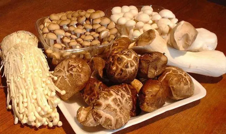 Hướng Dẫn Chọn Mua Các Loại Nấm Ăn Lẩu