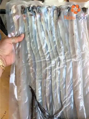 Giá trị dinh dưỡng tuyệt vời từ Cá Lạc mà biển cả mang lại Giá trị dinh dưỡng tuyệt vời từ Cá Lạc mà biển cả mang lại