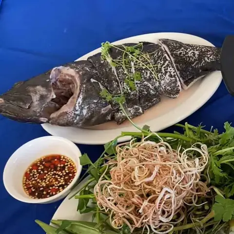 Sơ Chế Cá Mú