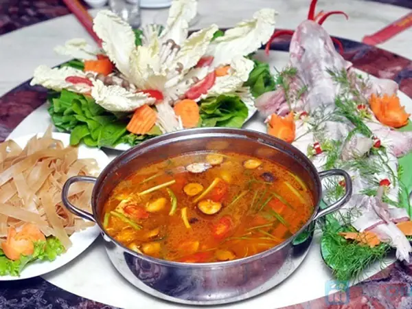 Cá Nhám Hay Còn Gọi Là Cá Mập Sữa?