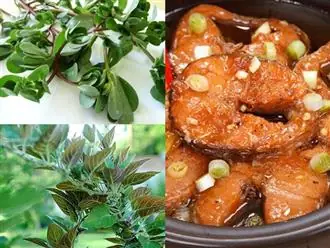 Không phải nguyên liệu cầu kỳ, đây mới là thứ khiến nồi cá kho của bạn ngon nhất!