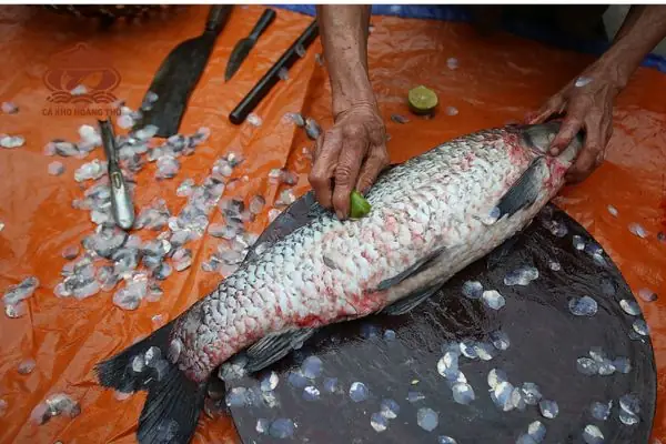 1.1. Nguyên Liệu Chính 1.1. Nguyên Liệu Chính