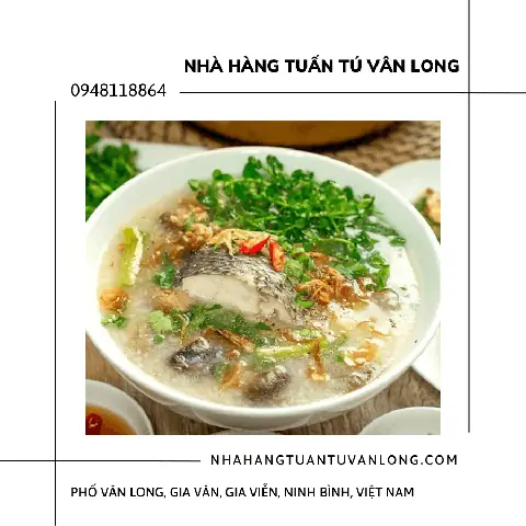 Giới Thiệu Giới Thiệu