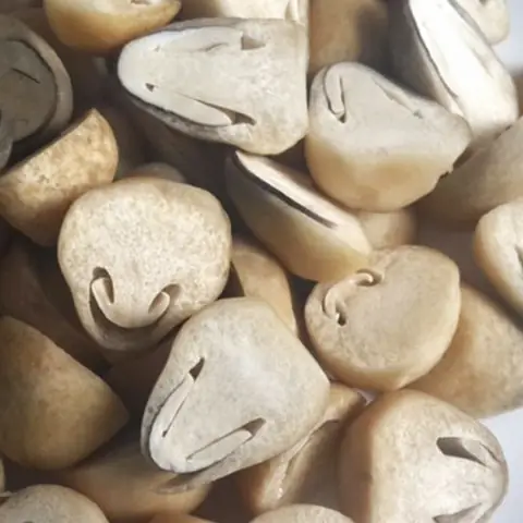 Sơ Chế Cua Đồng