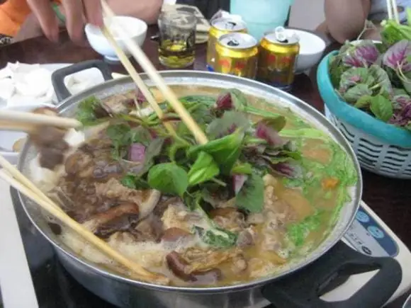 Cách Nấu Lẩu Chó Rau Má Ngon Chuẩn Vị Tại Nhà