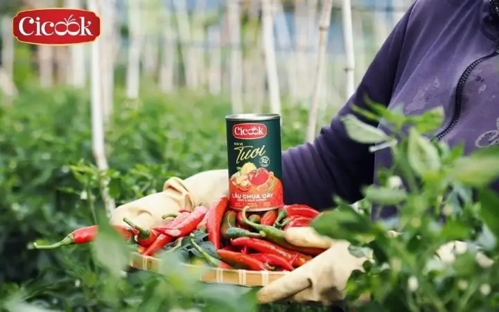 Giải Pháp Nhanh – Dùng Lon Xốt Lẩu Chua Cay Cicook Để Nấu Lẩu Cá Hú