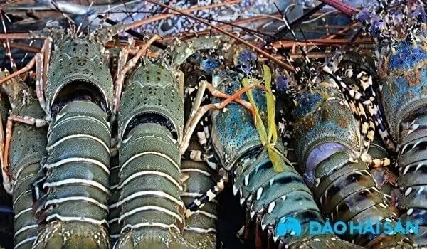 Mua Nguyên Liệu Nấu Lẩu Giao Nhanh 2h Tại Tphcm Mua Nguyên Liệu Nấu Lẩu Giao Nhanh 2h Tại Tphcm