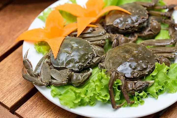 Cua Cà Ra Rất Nhiều Dinh Dưỡng