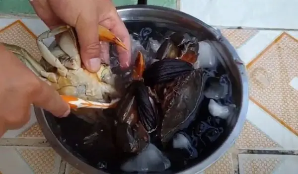 Sơ Chế Nguyên Vật Liệu