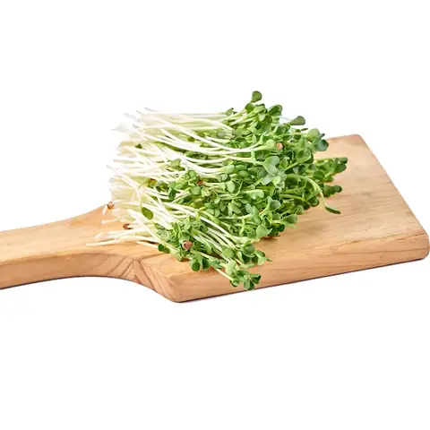 Bước 5: Trình bày thành phẩm