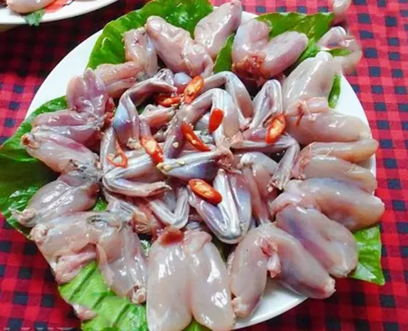 Các Bước Nấu Lẩu Ếch Măng Chua