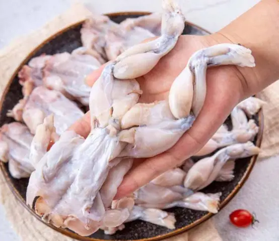 Cách Chọn Thịt Ếch Ngon