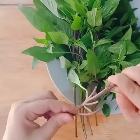 Sơ Chế Các Nguyên Liệu Khác