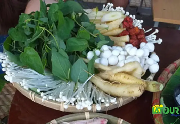 Lẩu Gà Lá Sâm Măng Đen - Món Ngon Dinh Dưỡng Từ Thiên Nhiên