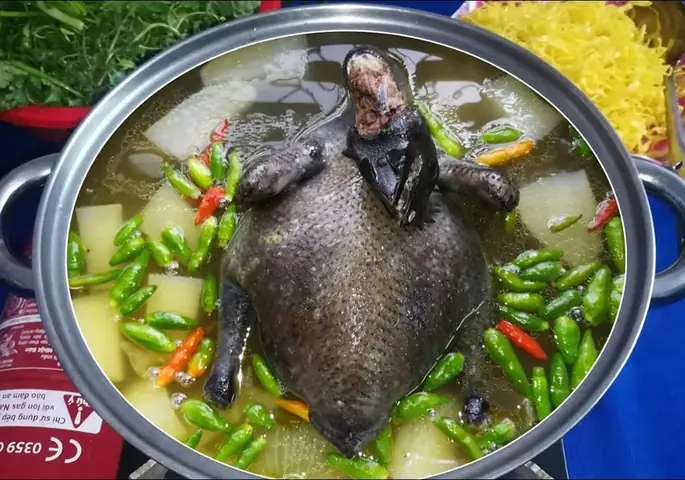 Lẩu Gà Ác Lẩu Gà Ác