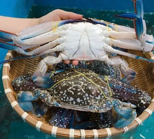 Nguyên liệu: Nguyên liệu: