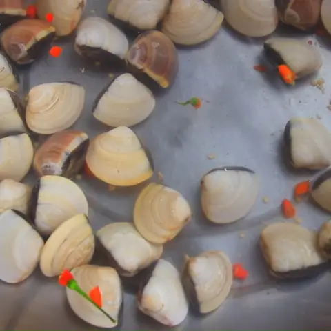 Sơ Chế Nguyên Liệu