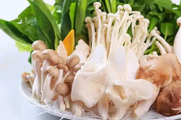 Nguyên liệu nấu lẩu nấm chay