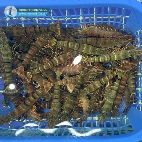 2. Hải Sản Hùng Trường Sa – Đơn vị bán tôm biển tươi ngon, chuyên nghiệp